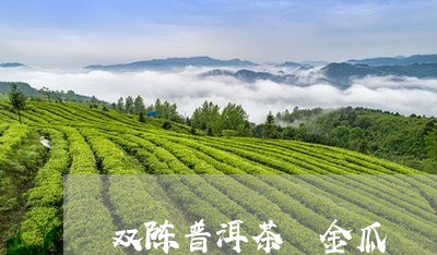 双陈普洱茶 金瓜/2023041041482